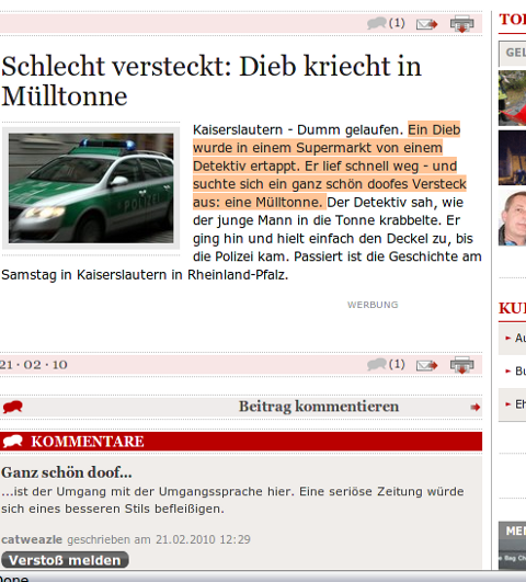 Screenshot Westfälische Nachrichten schlechter Artikel 21.2.2010