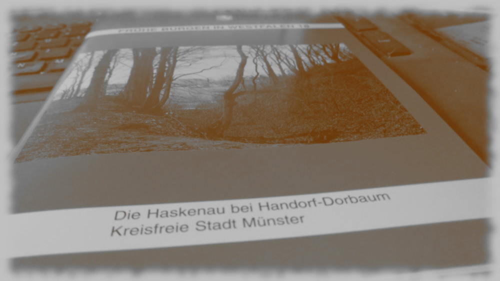 Cover von: Frhe Burgen in Westfalen 18 - Die Haskenau bei Handorf Dorbaum.