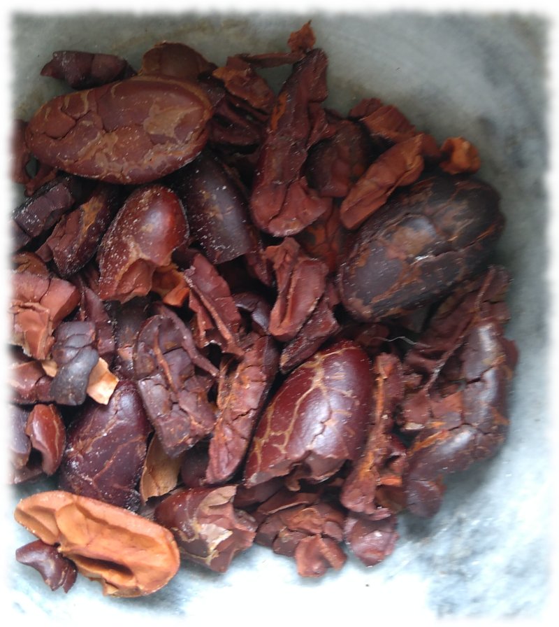 Kakaobohnen im Mrser