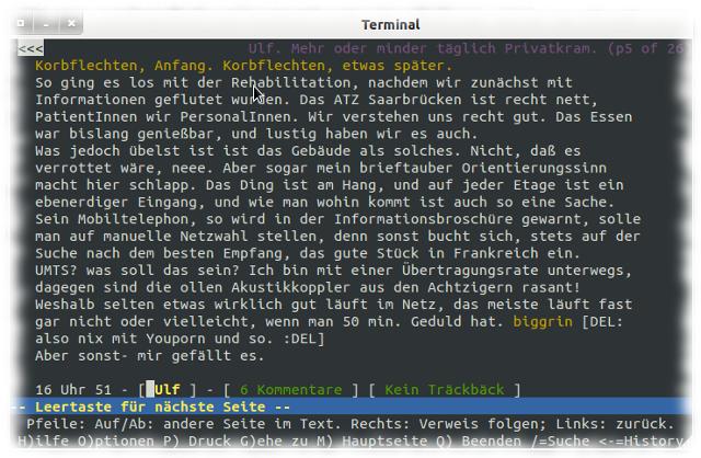 Screenshot: Ulfs Blog mit Lynx.