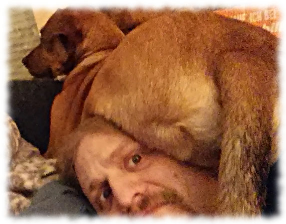 Bruno (groer Hund) hat sich wie eine Katze auf meinem Kopf ausgebreitet.