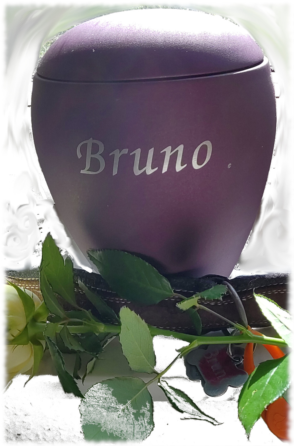 Weinrote Urne mit Aufschrift Bruno und gelber Rose und Halsband im Vordergrund
